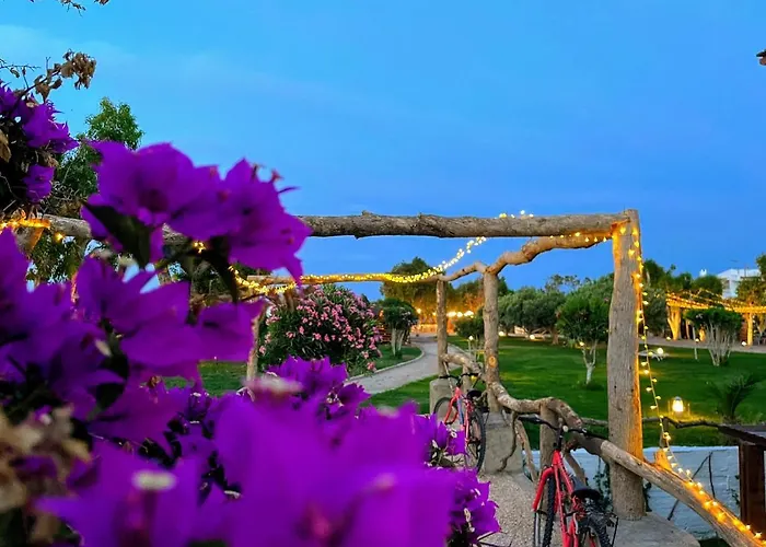 Eco And Magic Garden 3*