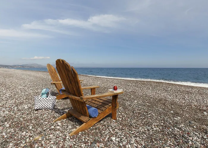 Eco And Magic Garden ゲンナジー