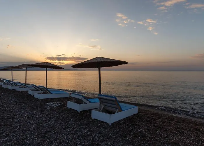 Eco And Magic Garden Otel