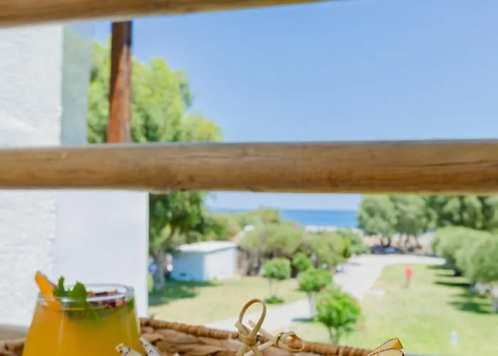 Eco And Magic Garden