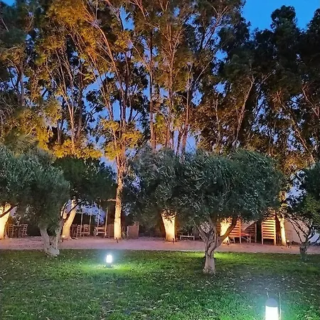 Eco And Magic Garden 3*