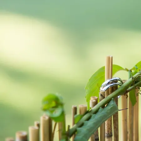 Eco And Magic Garden Hotel