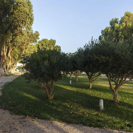 Eco And Magic Garden