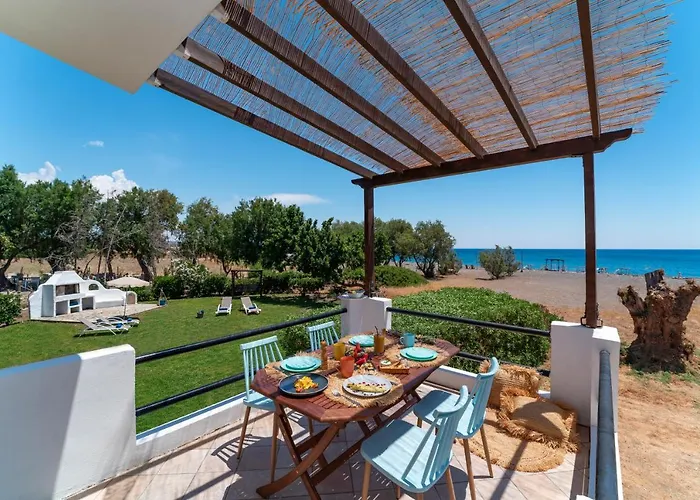 Eco And Magic Garden