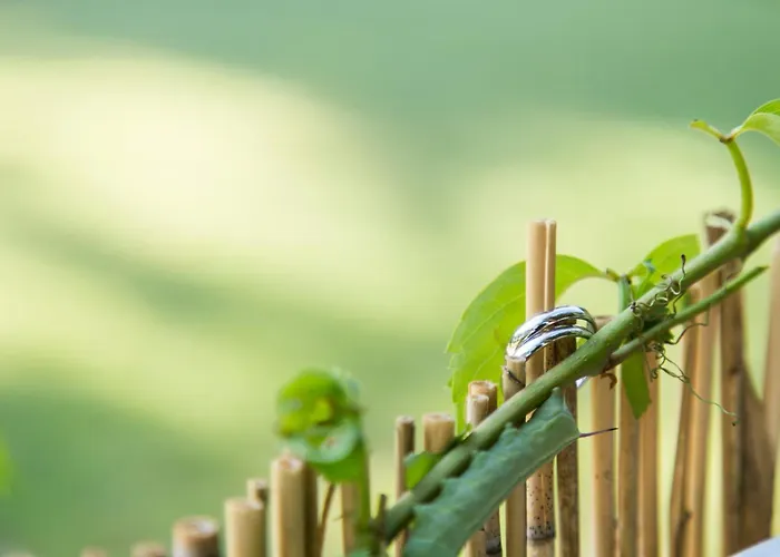 Eco And Magic Garden Отель