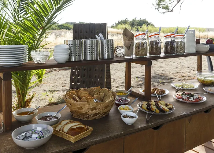 Eco And Magic Garden