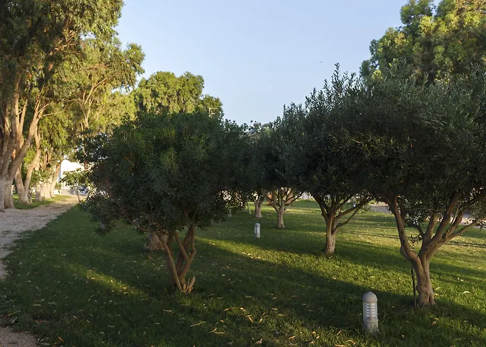 Eco And Magic Garden