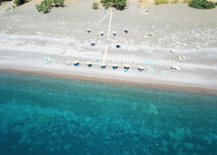 Eco And Magic Garden 3*